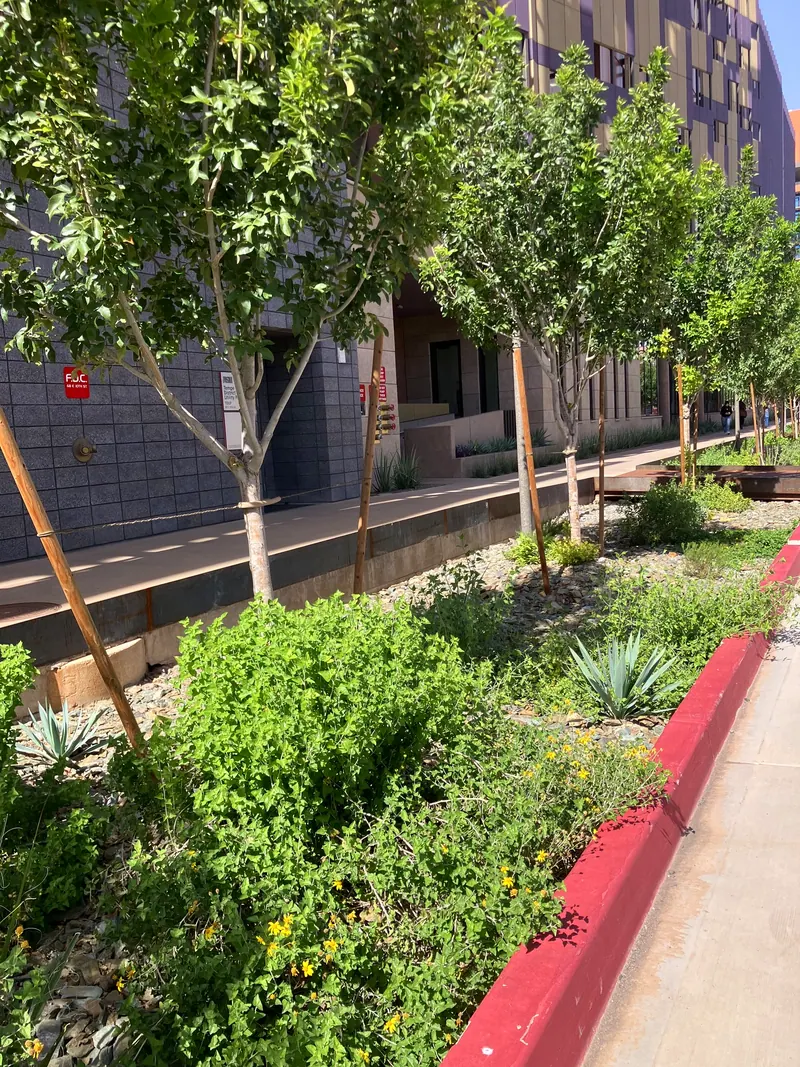 Lush garden scene, photo 13