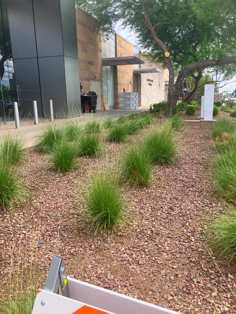 Open View garden scene, photo 5
