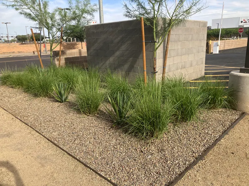 Open View garden scene, photo 6