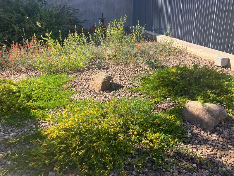 Open View garden scene, photo 10