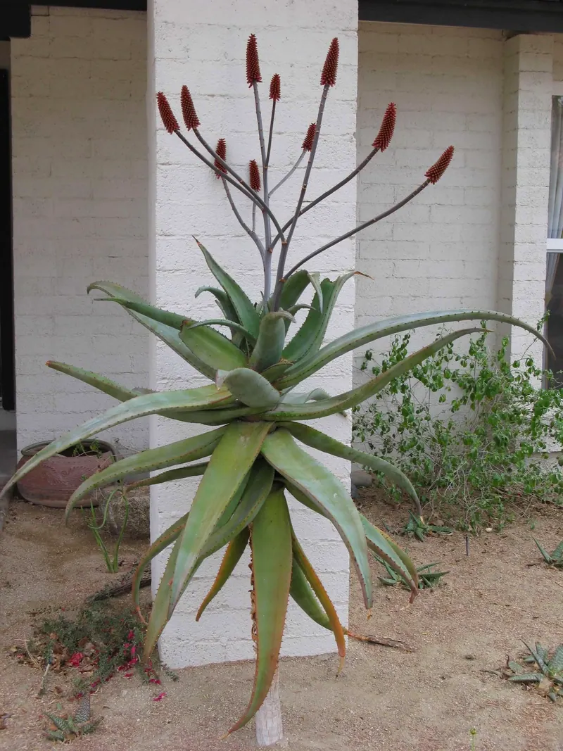 Sculpture garden scene, photo 1