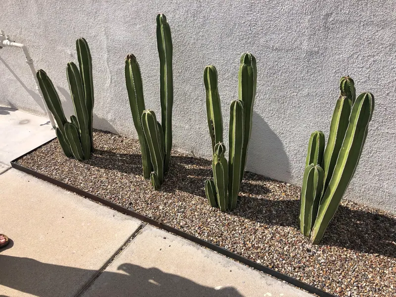 Sculpture garden scene, photo 4