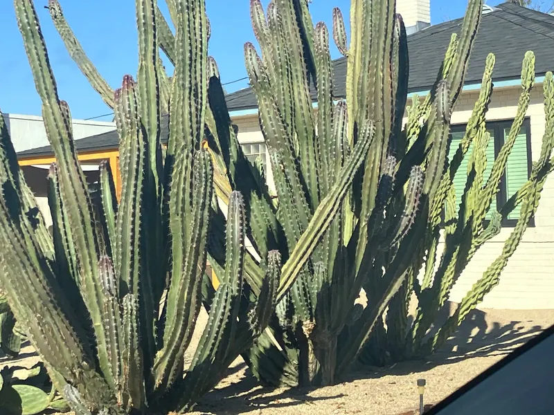 Sculpture garden scene, photo 10
