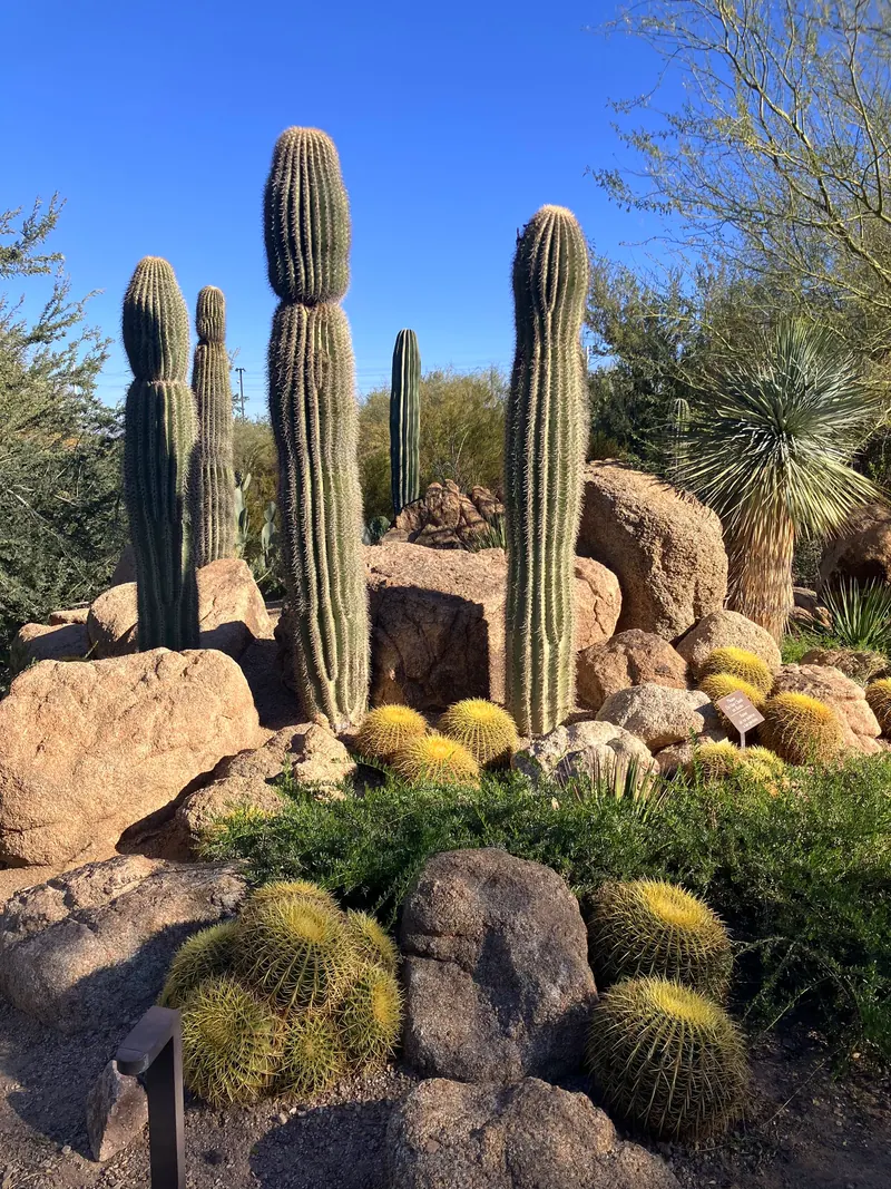 Sculpture garden scene, photo 11