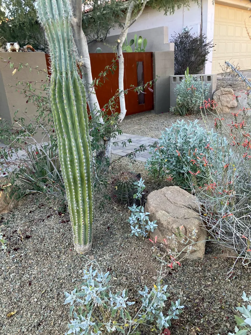 Sculpture garden scene, photo 12