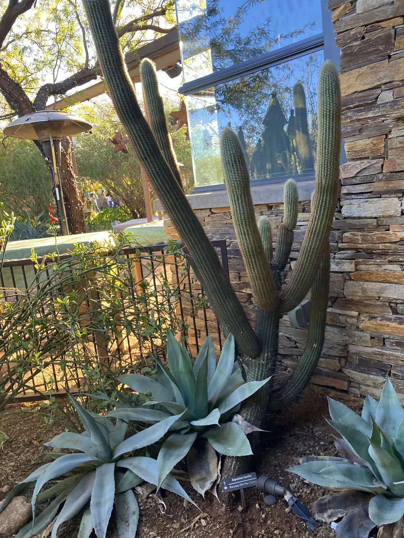 Sculpture garden scene, photo 13