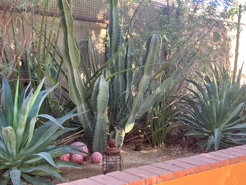 Sculpture garden scene, photo 14