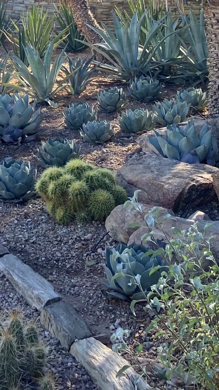 Sculpture garden scene, photo 15