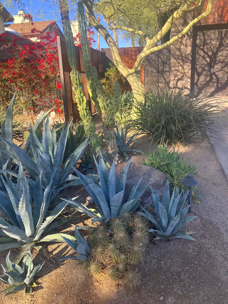 Sculpture garden scene, photo 16