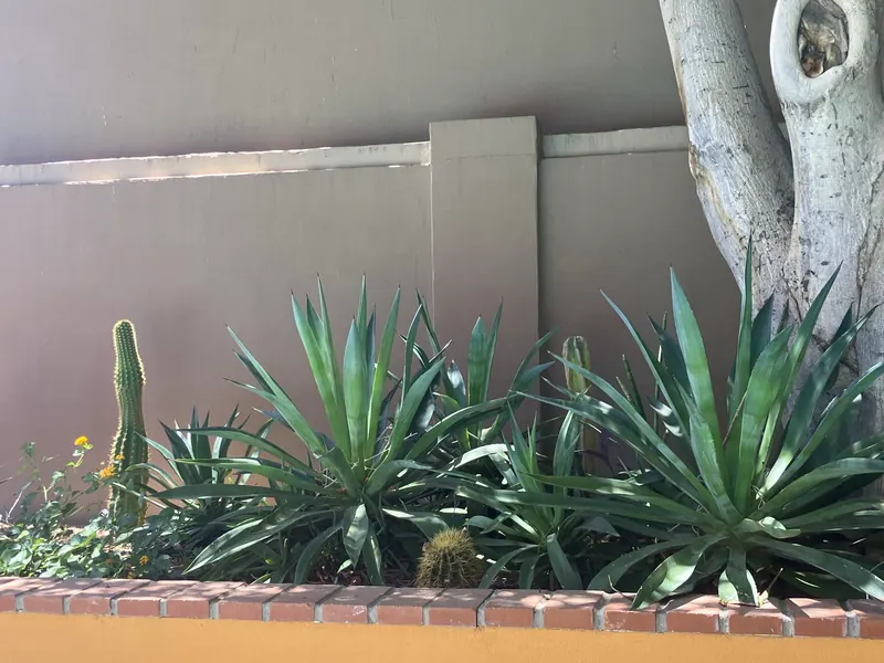 Sculpture garden scene, photo 17