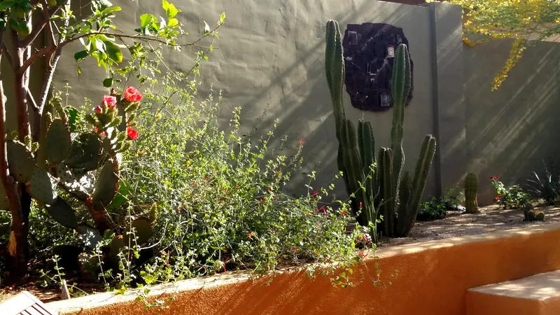 Soft & Leafy garden scene, photo 1